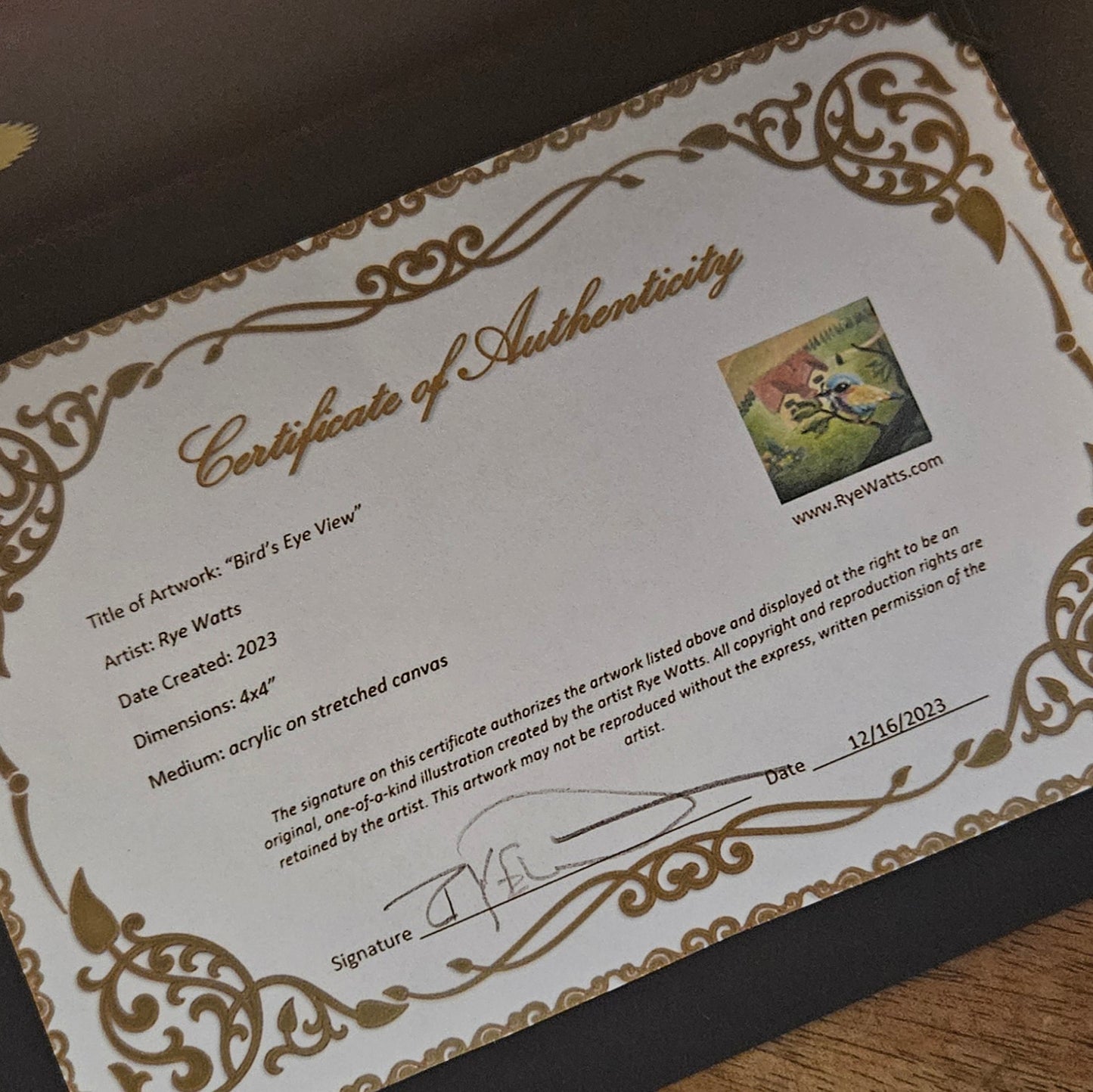 Bird's Eye View - Rye Watts