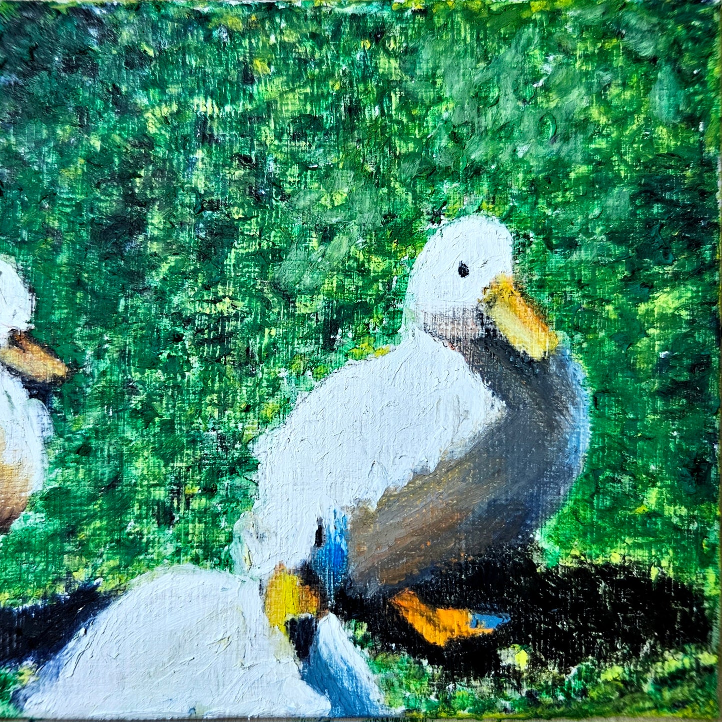 Sunny Day - Rye Watts