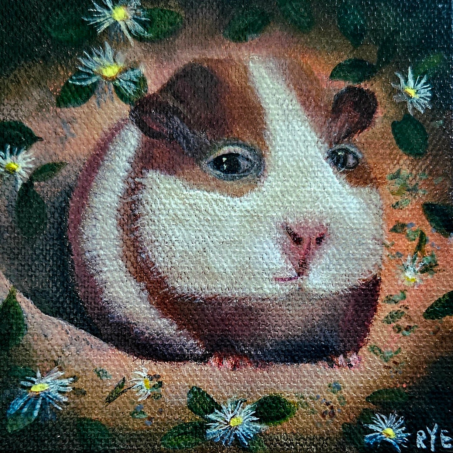Guinea Pig - Rye Watts