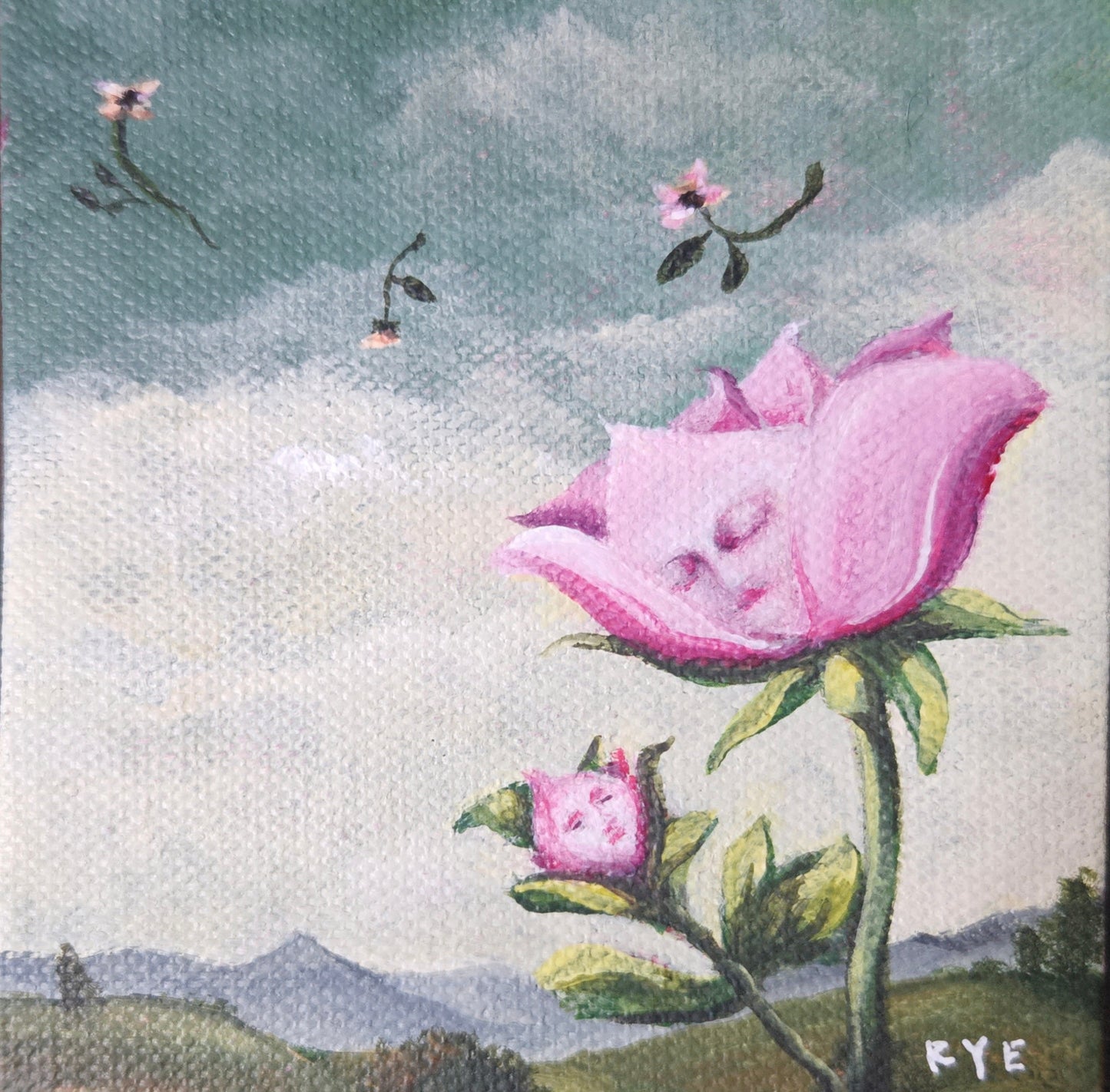 Pink Rose - Rye Watts